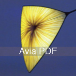 Download Avia Spec Sheet