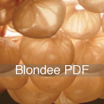 Download Blondee Table Spec Sheet